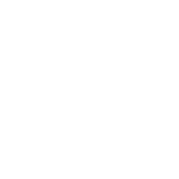 Initial Consultation